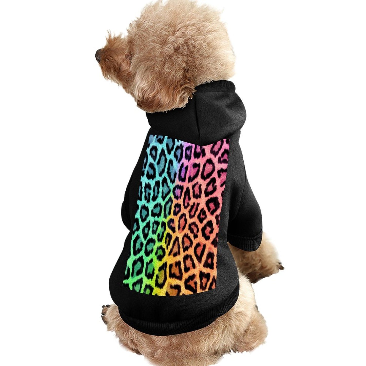 Pet Suit with Hat