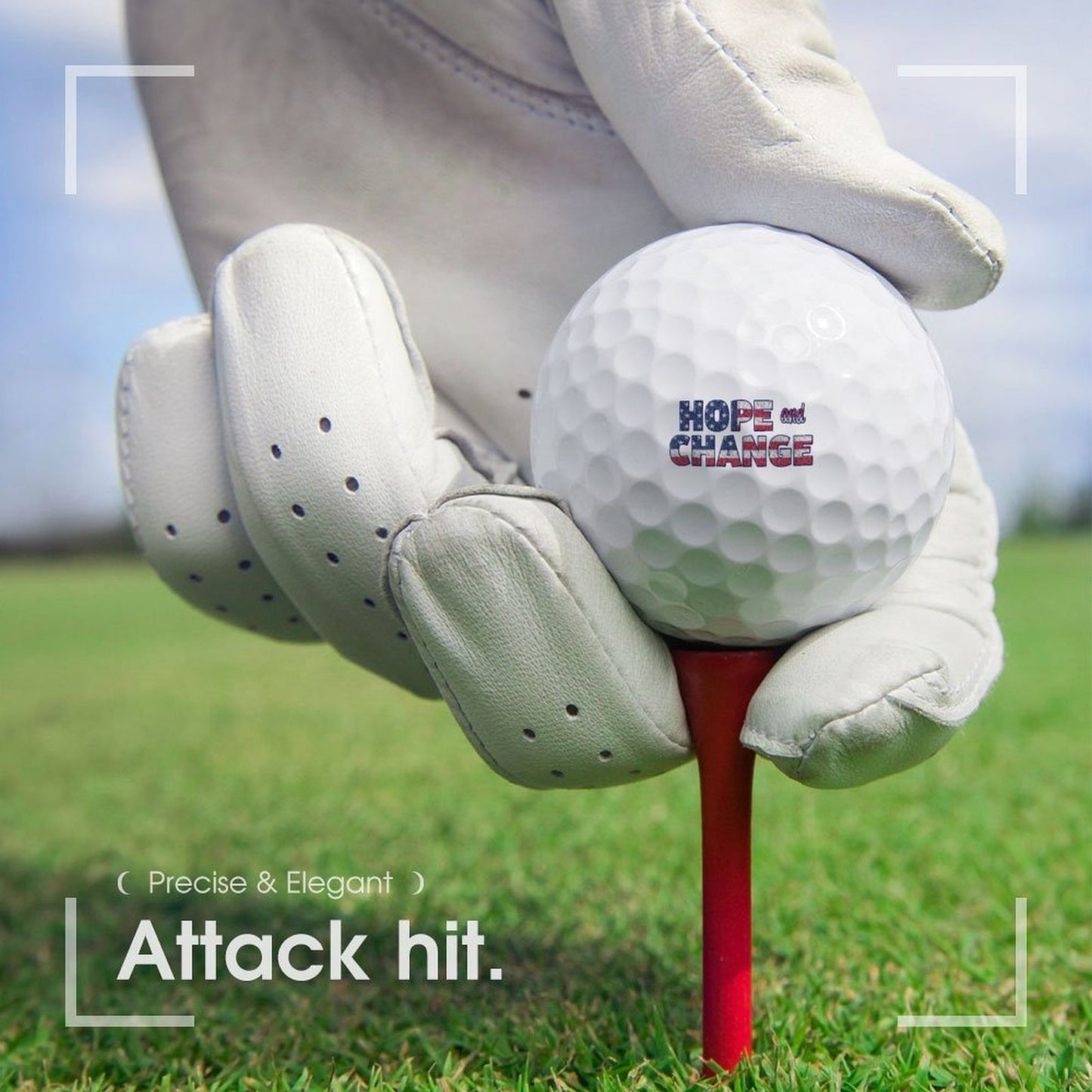 Golf Balls (single side printing)