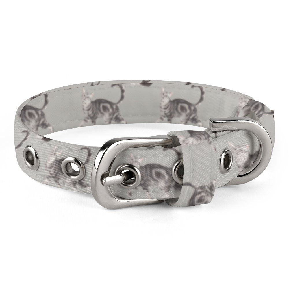 Pet Collar