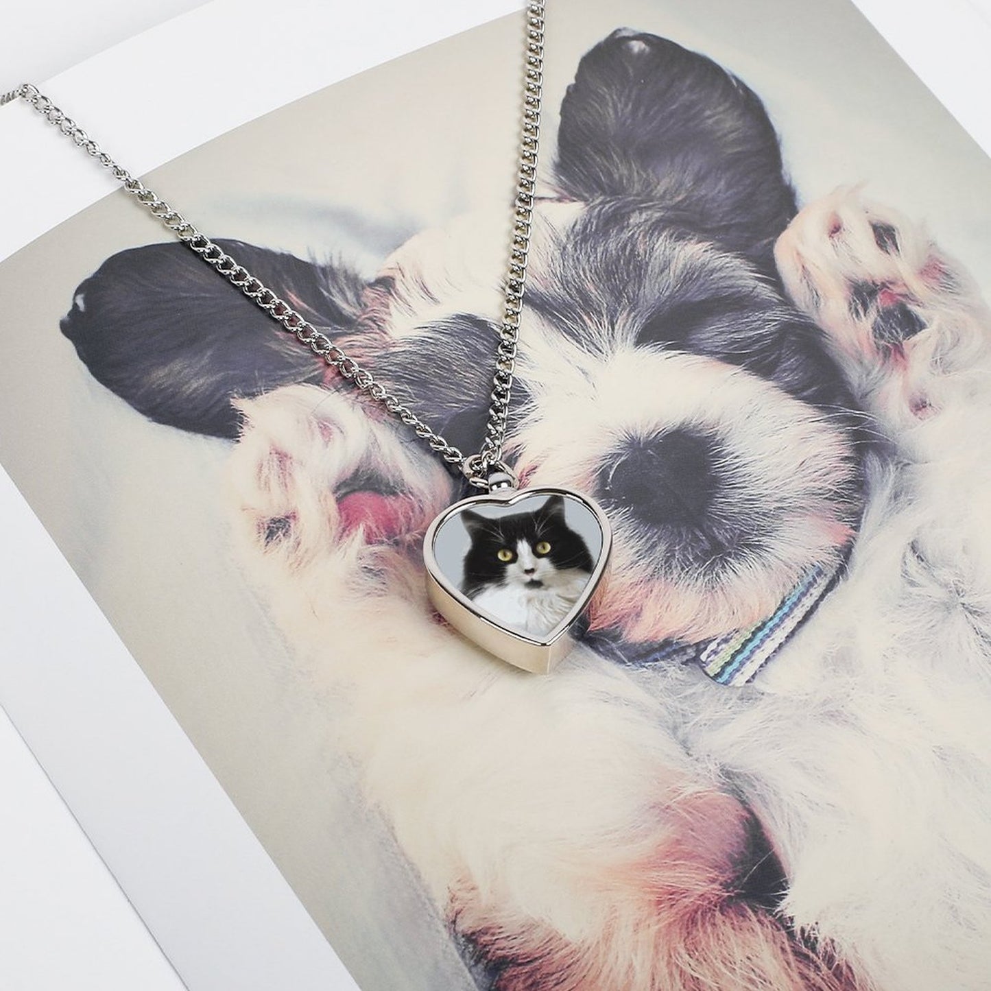 Pet Urn Necklace