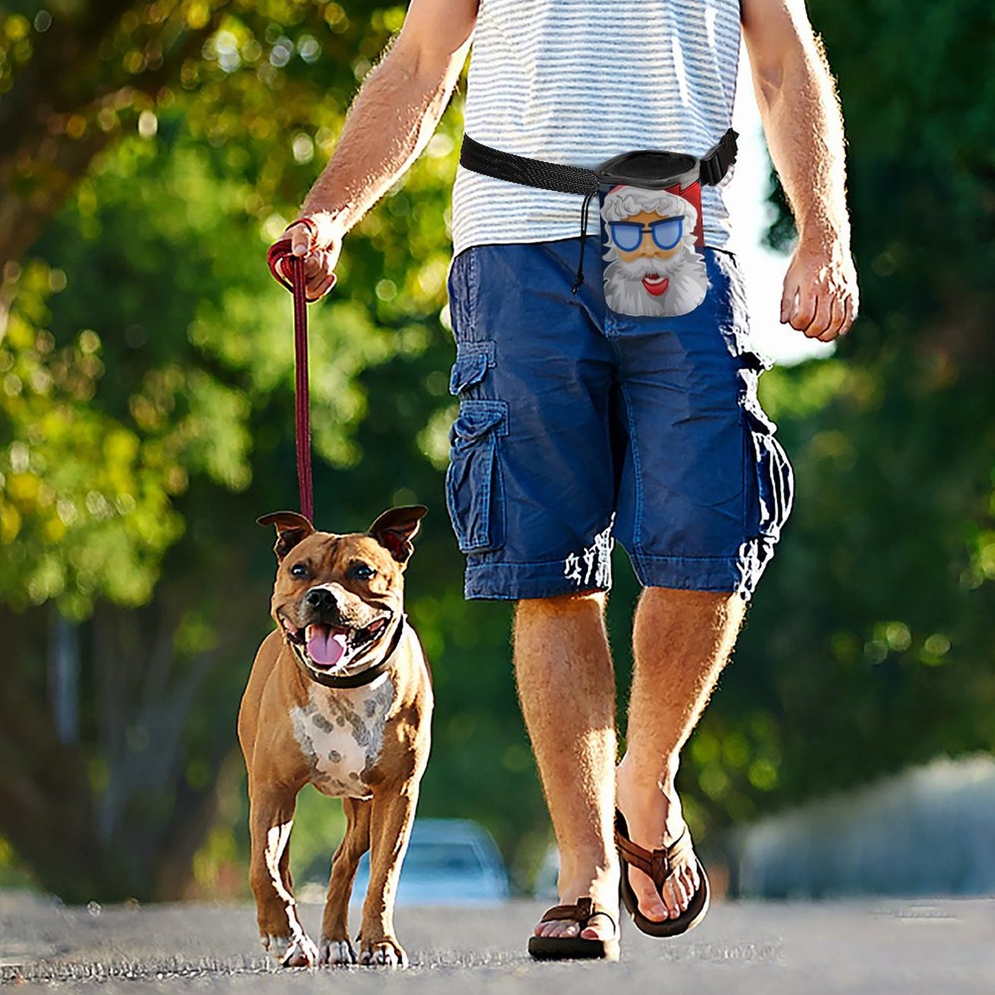 All-Over Print Pet Training Package