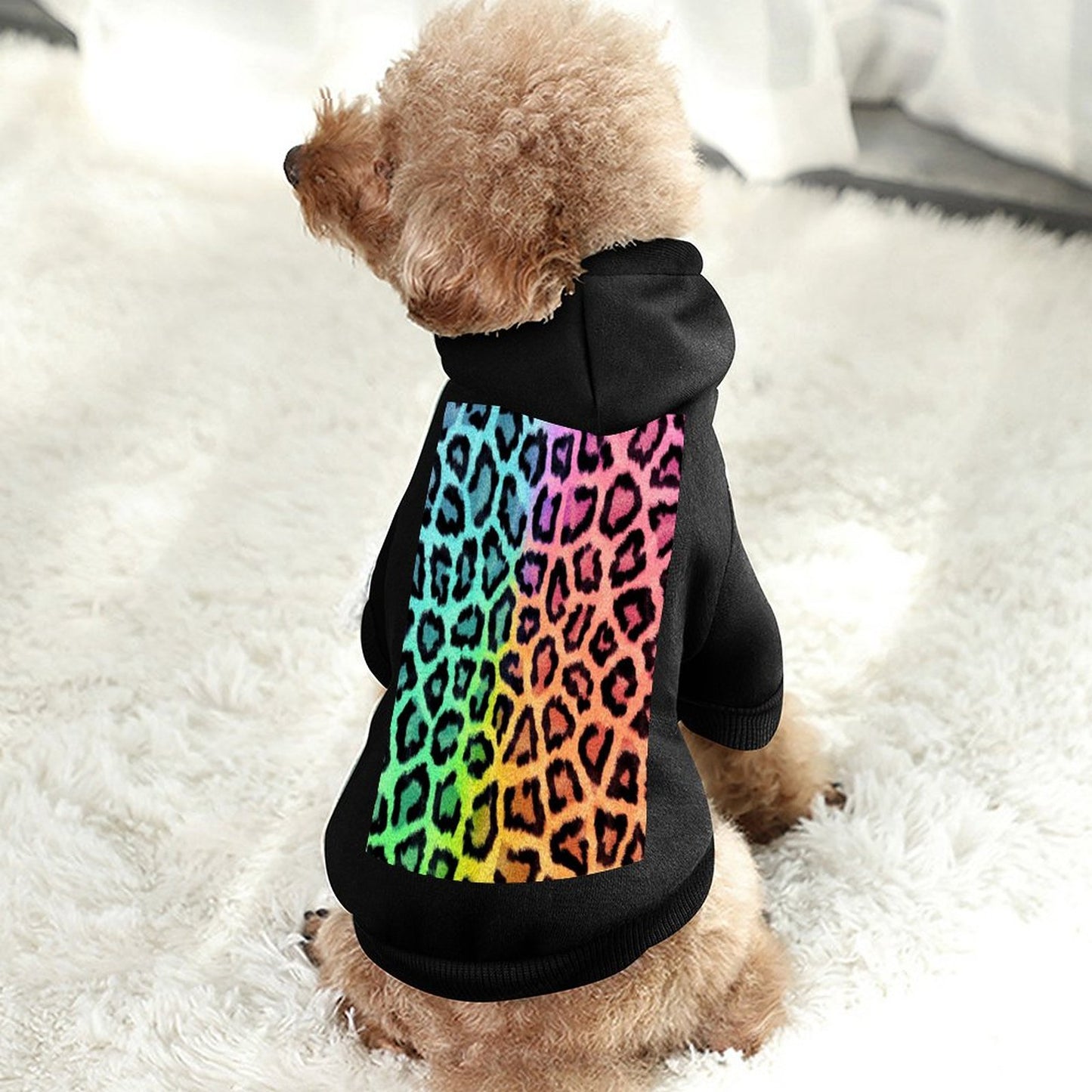 Pet Suit with Hat