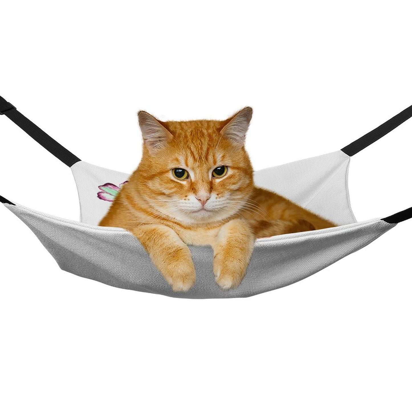 Pet Hammock