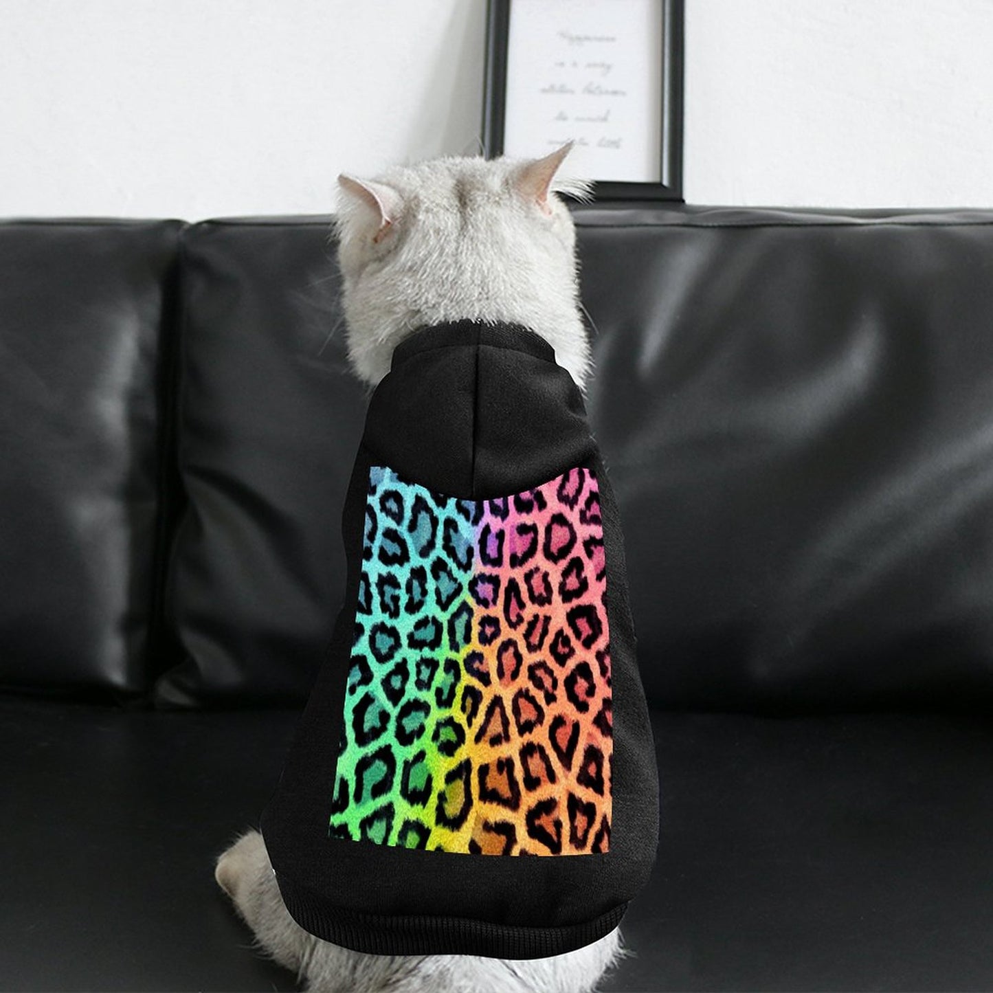 Pet Suit with Hat