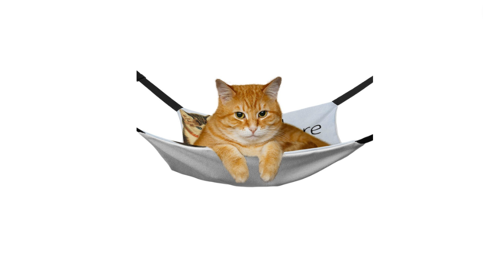 Pet Supplies