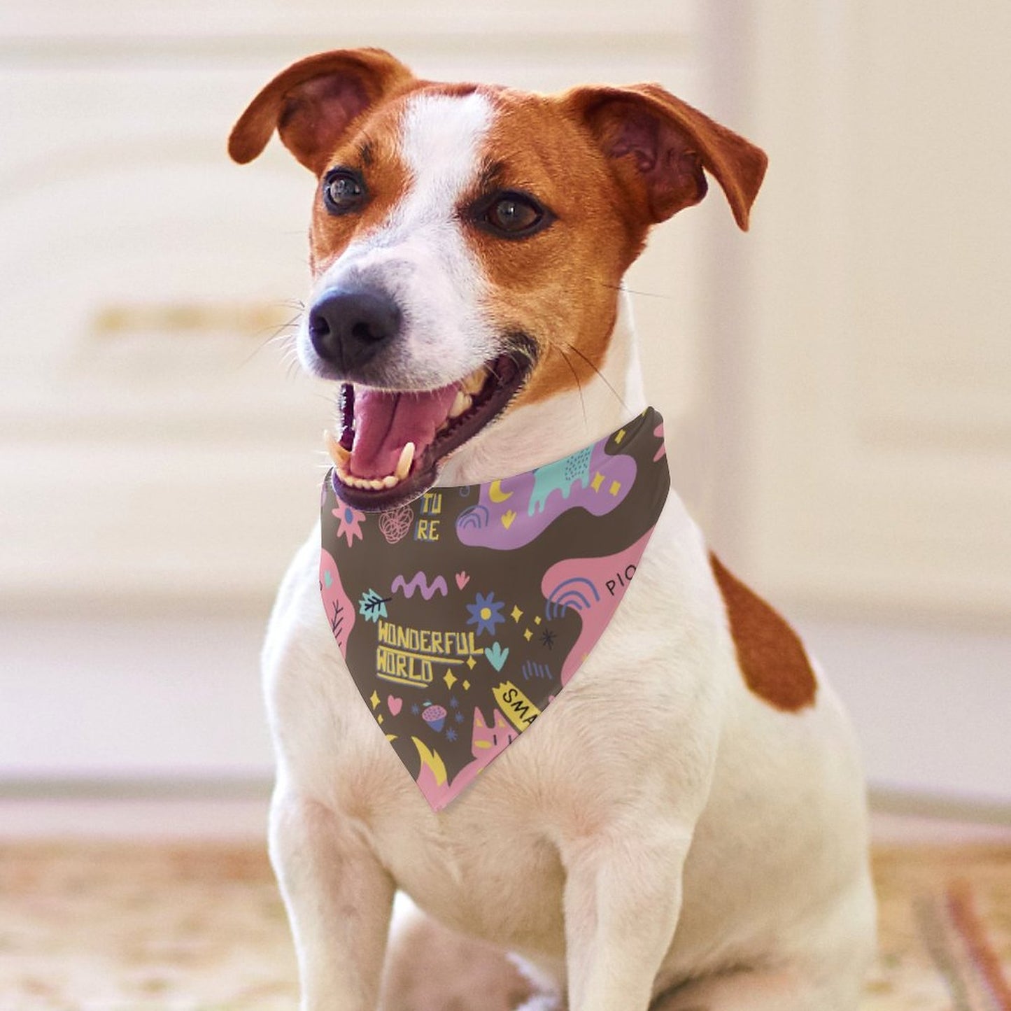 Pet Scarf