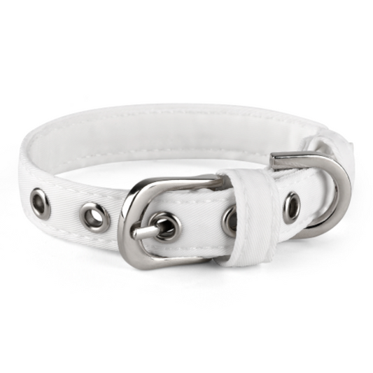 Pet Collar