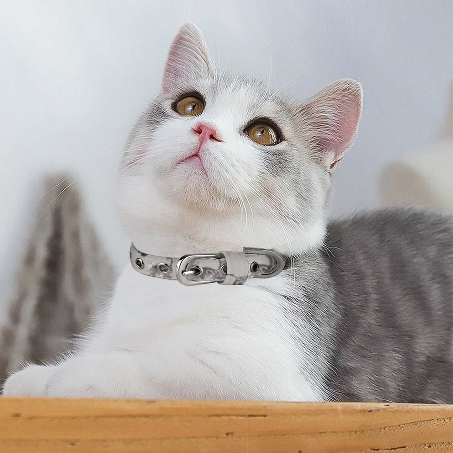 Pet Collar
