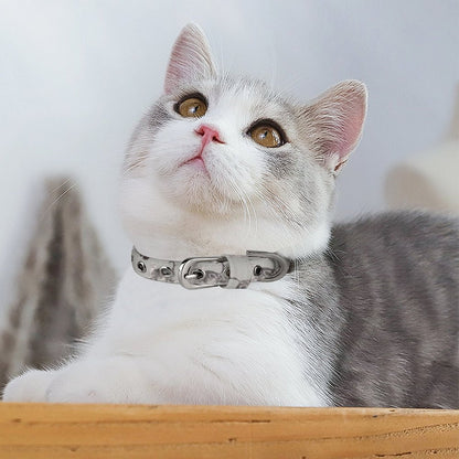 Pet Collar