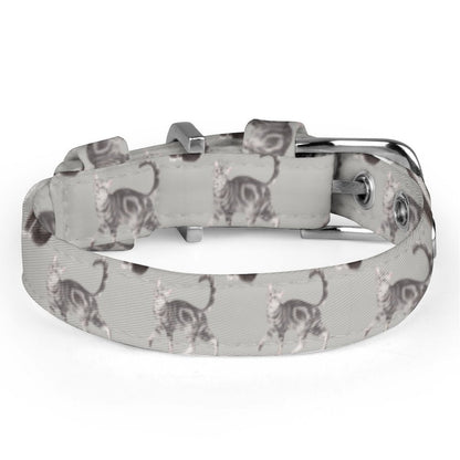 Pet Collar