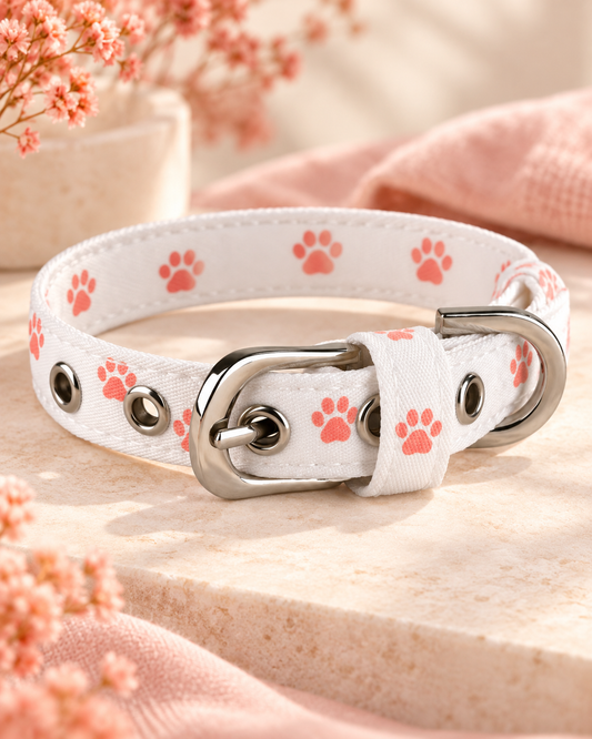 Custom Oxford Cloth Pet Collar | Personalized Dog & Cat Collar — original custom design example