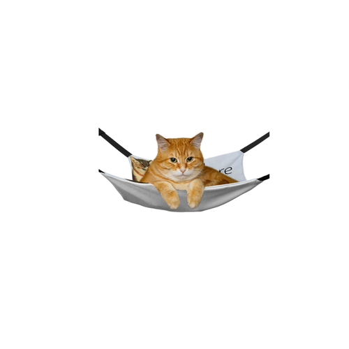 Pet Accessories